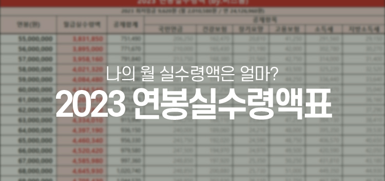 2023년 연봉별 월 실수령액은 얼마?